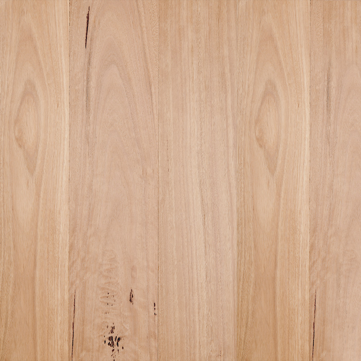 Blackbutt Flooring Melbourne Engineered Solid Timber Floors