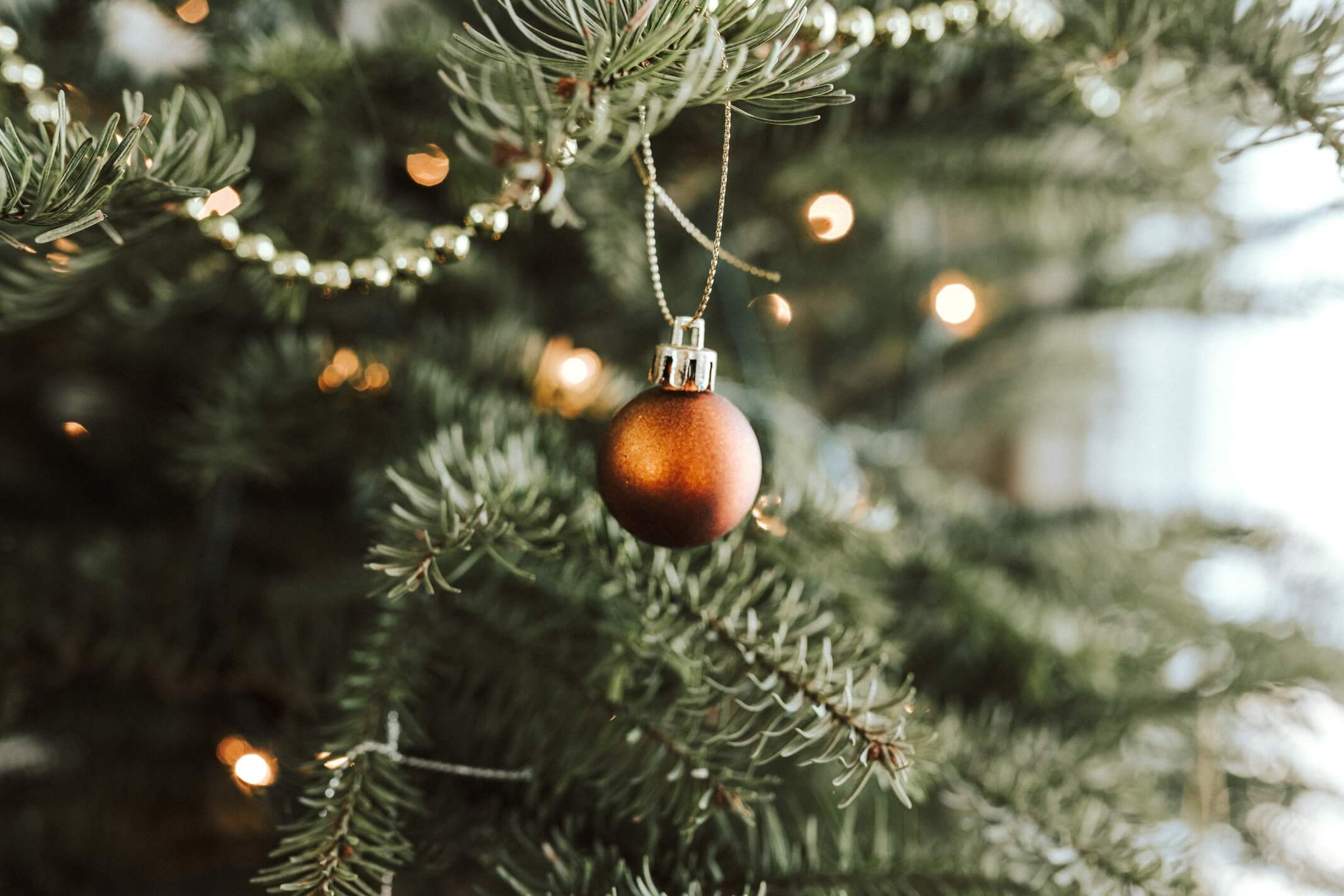 How to Protect your Timber Floors from a Christmas Tree