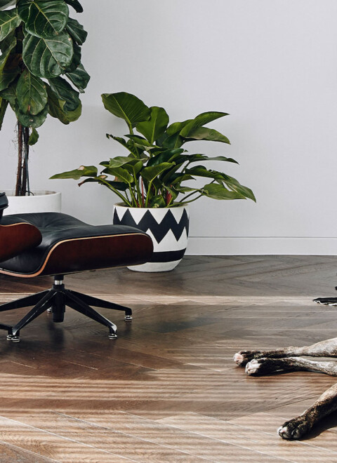 Warm herringbone flooring with natural grain variation in the living room