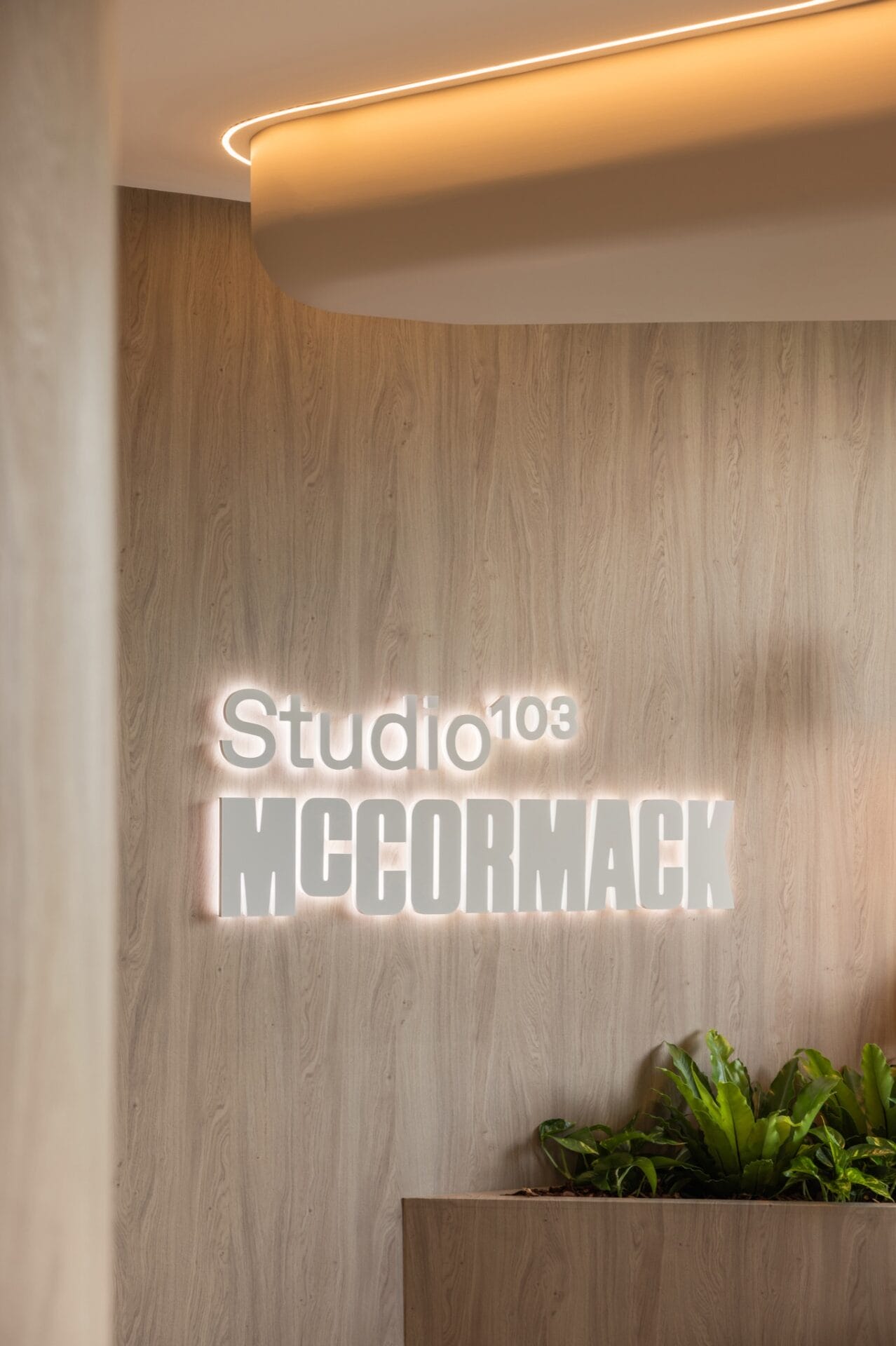 Studio 103 signage on a timber-clad wall beneath a cove-lit curved ceiling