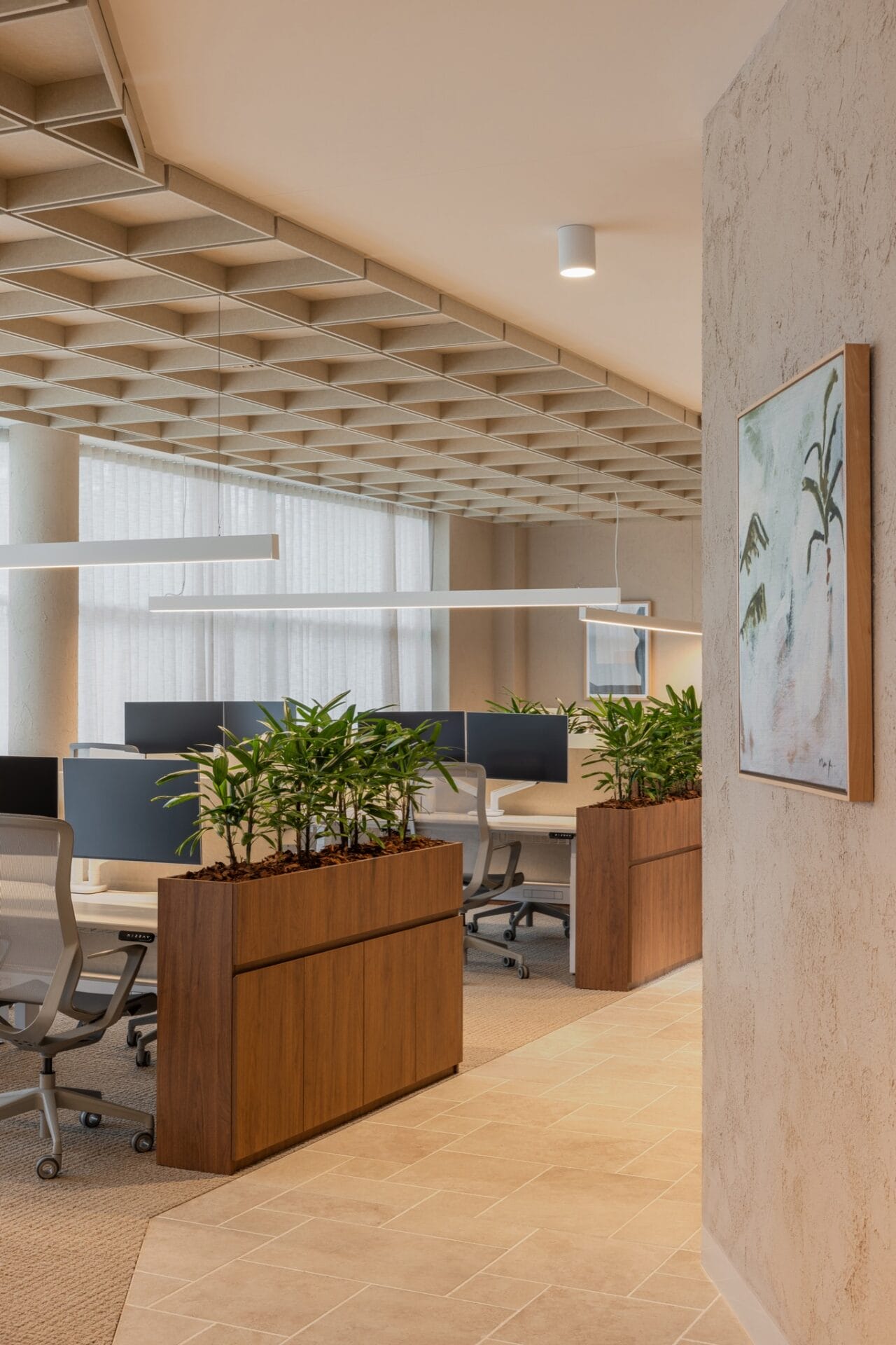 Workstations beneath acoustic ceiling treatment, with sheer curtains and planting along the window line