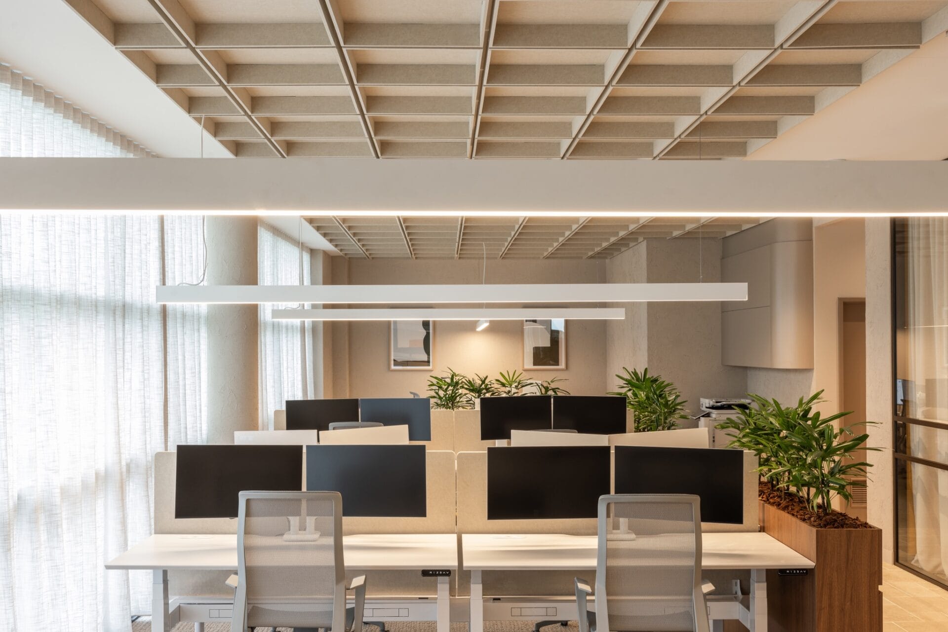 Open-plan workstations with linear lighting, planting and timber flooring running through