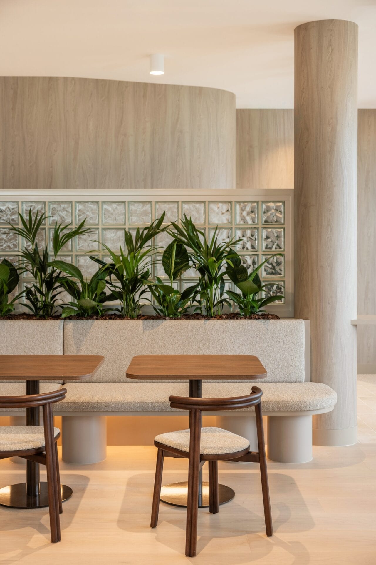 Bar bench with stools and a planting box, lit by daylight through the glass blocks